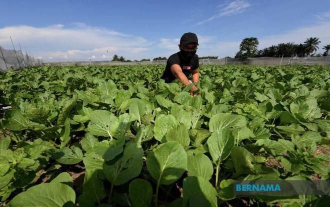 Gambar hiasan Bernama