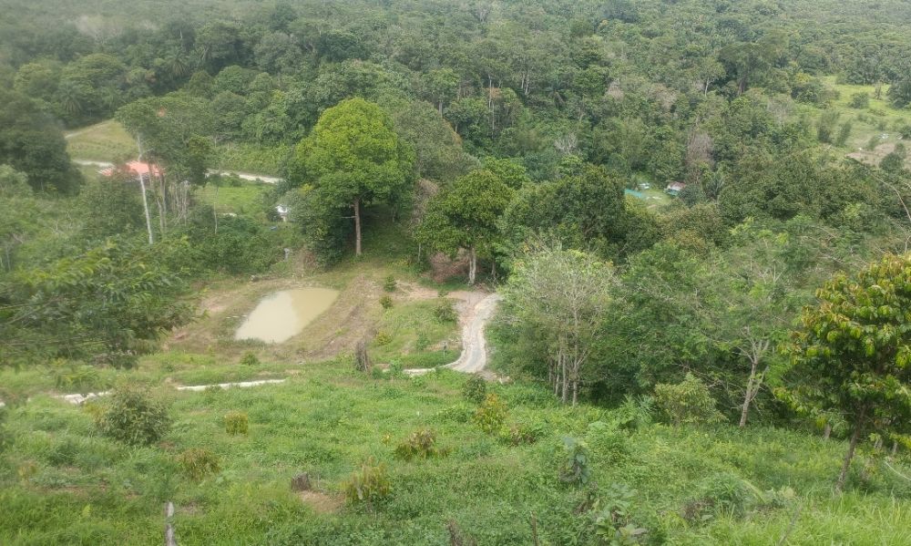 Keindahan alam semula jadi dari puncak bukit.