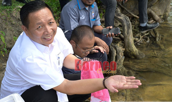  Wetrom menyempurnakan pelepasan benih ketam bakau di Kota Marudu. 