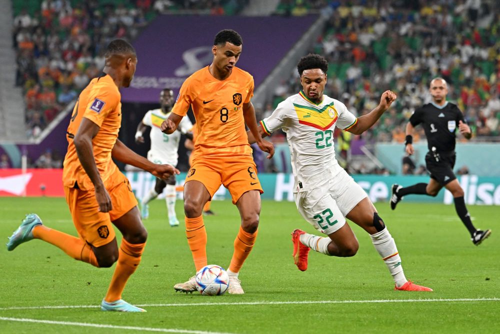 Gakpo (dua kiri) bersaing mendapatkan bola dengan pemain pertahanan  Senega Abdou Diallo pada perlawanan  Piala Dunia Kumpulan A di antara Senegal dan Belanda di Stadium Al-Thumama di Doha, kelmarin. — Gambar AFP