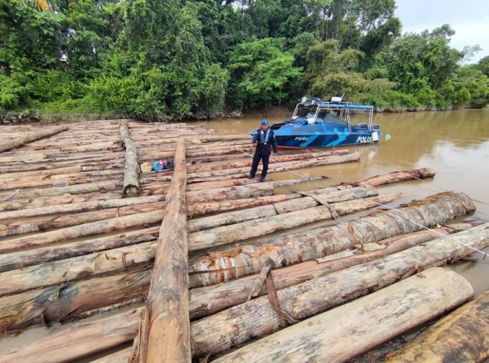 Longgokan kayu balak haram diikat menjadi rakit di tebing sungai perairan Pulau Dudong, Sibu.