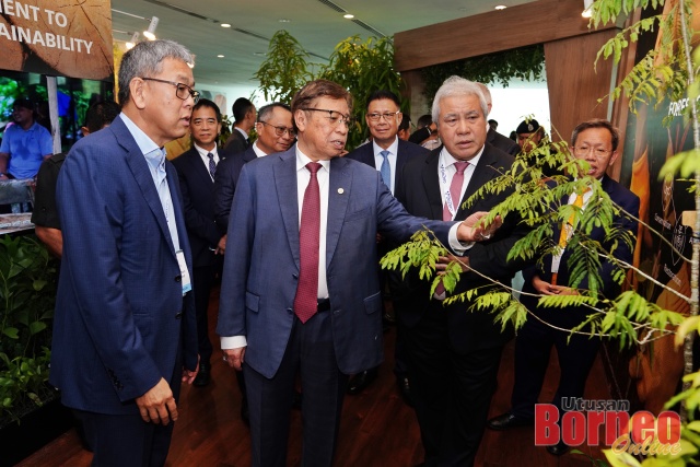  Abang Johari (tengah) seraya disempulang Awang tengah (kanan), beratika anak kayu ti ditanam baru dikena nyapai juluk nanam 100 milion pun kayu, ke bisi diayanka ba bansal pemandang nyerumba Aum Besai Karbon Asia, kemari. - Gambar Chimon Upon