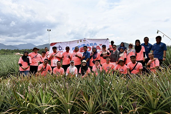  Rombongan Kembara Media berpeluang melawat ladang tanaman nanas di PUSPEN Jelebu. Foto oleh Jabatan Penerangan Malaysia 