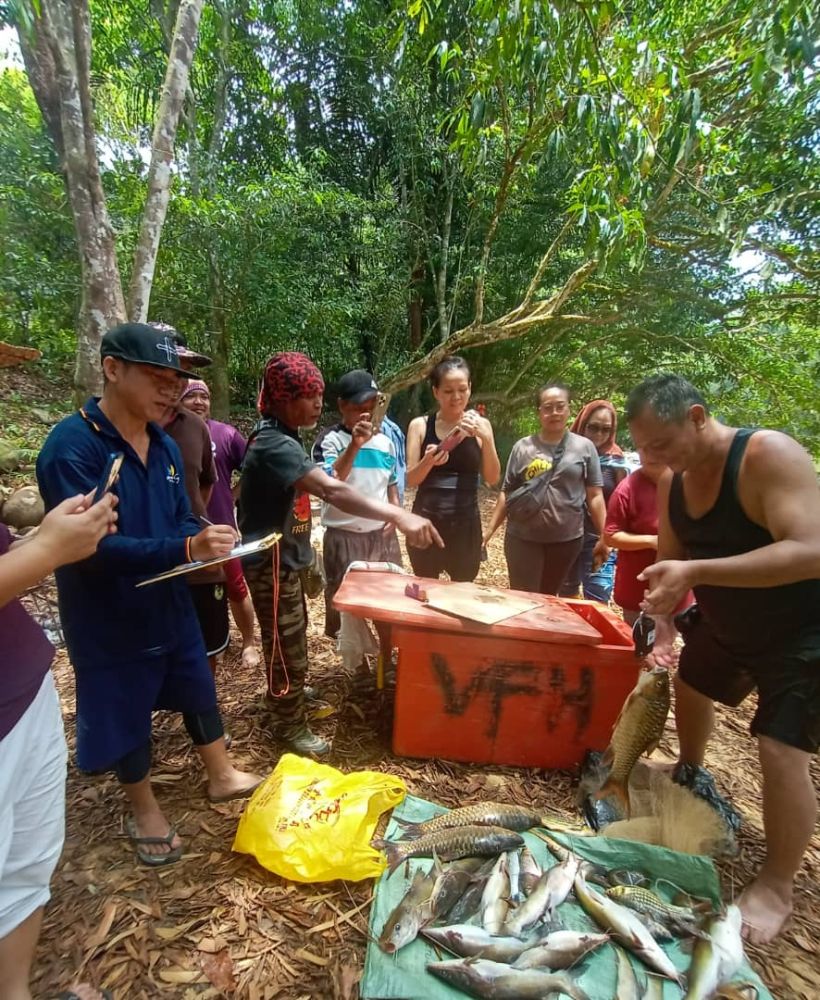 Sebahagian ikan hasil tagal yang diperolehi oleh penduduk kampung sempena upacara itu.