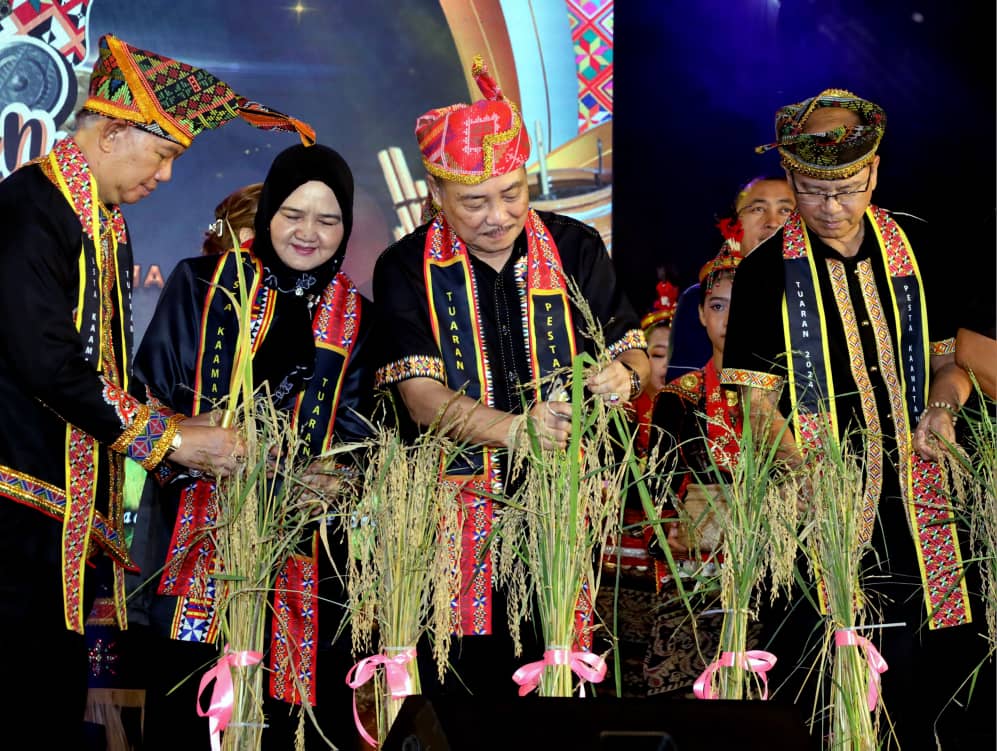  Hajiji (tengah) menuai padi bersama tetamu kehormat lain sebagai simbolik perasmian Tadau Kaamatan peringkat Tuaran di Tamparuli, pada Rabu.