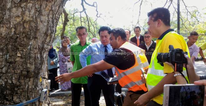 DEMONSTRASI: Abd Rahim (dua kiri) diberi penerangan oleh kakitangan FRIM mengenai alat gelombang bunyi yang digunakan bagi mengesan pokok hujan yang bermasalah pada demonstrasi penggunaan alat itu di sebatang pokok hujan di Taman Tasik Taiping semalam. — Gambar Bernama