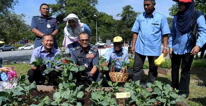 MARI BERTANI: Wan Mohd Nor Ibrahim (depan tengah) menuai sayur kailan simbolik Pelancaran Program Pertanian Bandar di balai balai bomba seluruh Malaysia di Ibu Pejabat Jabatan Bomba dan Penyelamat Malaysia semalam. — Gambar Bernama