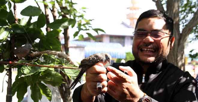 SIMBOLIK: Mujahid melepaskan burung merbuk pada Program Trip Silaturahim Memikat Burung Merbuk dan Terkukur di Dewan Bagan Tiang dekat Parit Buntar, semalam. — Gambar Bernama