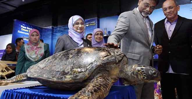 TERTARIK: Xavier (dua kanan) melihat Penyu Agar yang diawet selepas perasmian ‘International Union for Conservation of Nature (IUCN) Symposium and Red List Assessment’ di Universiti Malaysia Terengganu (UMT) dekat Kuala Terengganu, semalam. Turut hadir Naib Canselor UMT Datuk Dr Nor Aeini Mokhtar (empat kanan). — Gambar Bernama