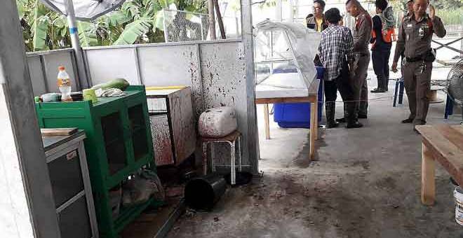 BERITA PALSU: Berita yang ditularkan tentang mayat mangsa bunuh yang dikerat-kerat dan dagingnya dihidangkan kepada pelanggan di sebuah restoran vegetarian di Lat Krabang, dekat  Bangkok, baru-baru ini, disahkan sebagai berita palsu, kata Polis Thai. — Gambar Bernama