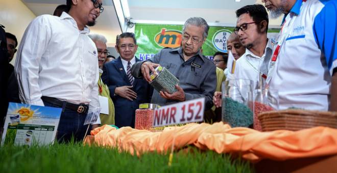  Perdana Menteri Tun Dr Mahathir Mohamad melihat anak benih padi yang menggunakan teknologi 'Bayer SeedGrowth' ketika melawat tapak pameran sempena majlis perasmian Konvensyen Padi Kebangsaan 2019 di salah sebuah hotel terkemuka hari ini. - Gambar Bernama 