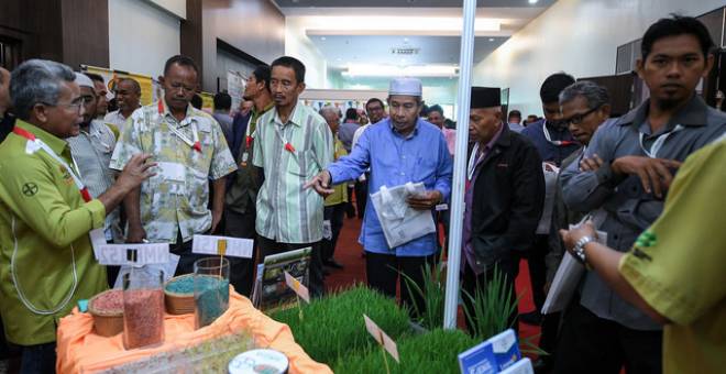 Para peserta Konvensyen Padi Kebangsaan 2019 melihat dan mendengar penerangan daripada wakil 'Bayer SeedGrowth' pada Konvensyen Padi Kebangsaan 2019 di salah sebuah hotel terkemuka hari ini. - Gambar Bernama 