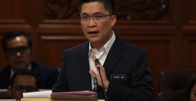 Wong ketika Sidang Dewan Negara di Bangunan Parlimen hari ini. - Gambar BERNAMA