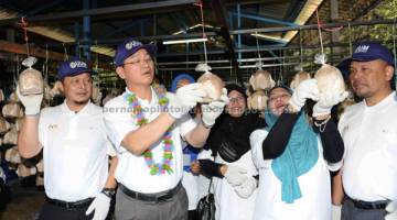 LAWATAN: Wilfred Madius (tengah) bersama Dr Noor Azizi (dua, kiri) melawat tanaman cendawan kukur ketika Majlis Perasmian dan Penyerahan Projek Inovasi Sosial Kementerian Sains, Teknologi dan Inovasi (MSI) di Agrofarm, Lapang Sasar Tunku Puteri Intan Safinaz, Universiti Utara Malaysia. — Gambar Bernama