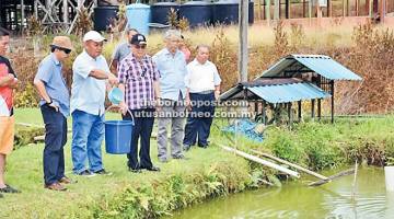 LAWATAN: Uggah (dua kanan) semasa mengadakan lawatan Cawangan Perikanan Darat, Stesen Pertanian Bersepadu Jabatan Pertanian Layar, Betong.