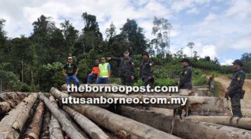 TUMPAS: Tan (empat kiri) dan Azhar bersama yang lainnya menunjukkan balak yang dirampas pagi kelmarin.