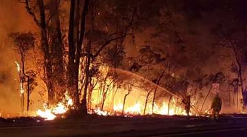 MARAK: Anggota bomba cuba memadamkan kebakaran hutan di Voyager Point, selatan Sydney kelmarin. — Gambar AFP