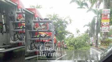 BOMBA sedang melakukan tugasan mengalihkan pokok tumbang yang menghempap kereta.