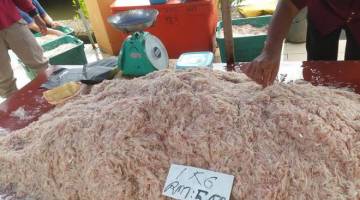 Bubuk yang dijual pada RM5 sekilogram di Mukah pada ketika ini.