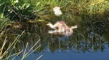 MAYAT bayi lelaki cukup sifat ditemukan dalam keadaan berbau busuk di kolam terbiar.