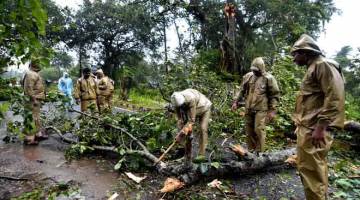 ANGKARA RIBUT: Lelaki India memotong sebatang pokok yang tumbang untuk membuka jalan di antara Gopalpur dan Berhampura selepas ribut kencang yang dibawa oleh Siklon Titli melanda kawasan tersebut, dekat Gopalpur di negeri timur Odisha kelmarin. — Gambar AFP