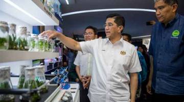 TERTARIK: Azmin (tengah) melihat tumbuhan herba ketika melawat Pameran Pertanian, Hortikultur dan Agro Pelancongan Antarabangsa (MAHA) 2018 di MAEPS, Serdang, semalam. — Gambar Bernama