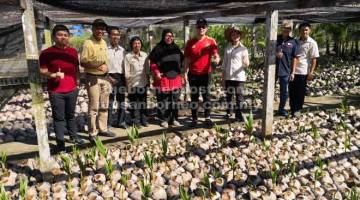 DIPUJI: Junz melawat kebun benih kelapa di Stesen Penyelidikan Pertanian Ulu Dusun.