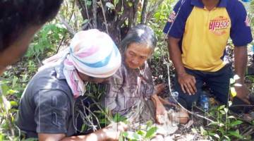 JAMELIA ditemukan dalam keadaan lemah dan tidak bermaya di bawah pokok dalam hutan berkenaan.