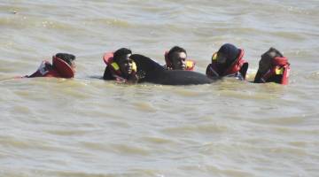Anggota Bomba dan Penyelamat Malaysia, Tawau yang dibantu oleh Pasukan Polis Marin dan orang awam berhempas pulas menyelamatkan seekor ikan lumba-lumba yang terdampar di tepi laut pada pukul 12 tengah hari tadi.