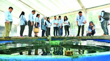 ROMBONGAN Pusat Canselori dan Hubungan Antarabangsa UNIMAS melawat Hacheri Institut Penyelidikan Marin Borneo UMS.