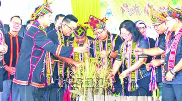 EWON (tengah), Anita (tiga dari kanan), Muji (lima dari kanan) dan Arnold (enam dari kanan) bersama para pemimpin yang lain sama-sama menuai padi sebagai simbolik perasmian Pesta Monguyas Norutip.