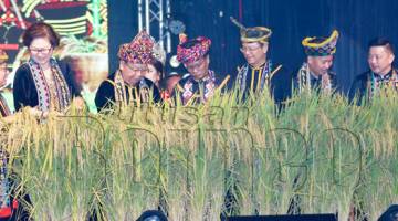  SHAFIE (tengah) menuai padi sebagai gimik perasmian Penutupan Pesta Kaamatan 2019, di Dewan Hongkod Koisaan, hari ini. Turut kelihatan Pairin (tiga, kiri) dan barisan tetamu kehormat yang lain.