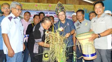 EWON (tiga dari kanan) bersama para pemimpin menuai padi sebagai simbolik perasmian Sambutan Kaamatan Raya Kg Abuan.