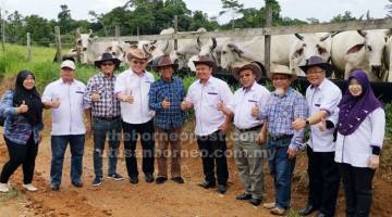 IDENTITI: Daud melawat ladang Pusat Nukleus Lembu Brahman.