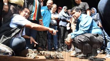 MOHAMADDIN menyaksikan salah satu proses pembahagian kawasan menuai sarang burung.