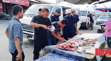 PERIKSA: Usaha agresif dilancarkan oleh PPM Semporna dan Pejabat Perikanan Daerah untuk mengesan hasil tangkapan daripada bom ikan di pasar-pasar tumpuan ramai.