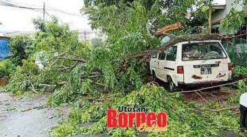 HEMPAP: Salah sebuah kereta yang dihempap pokok tumbang akibat angin kencang di sini.