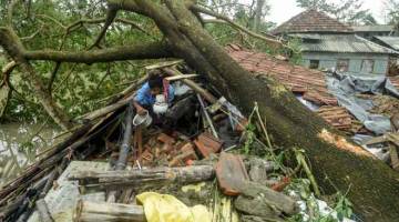 ANGKARA AMPHAN: Seorang lelaki menggeledah rumahnya yang musnah dihempap pokok tumbang semasa Siklon Amphan melanda bandar Midnapore di Bengal Barat semalam. — Gambar AFP