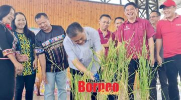 RASMI: Robert (tengah) memotong padi sambil disaksikan oleh pengerusi penganjur dan pemimpin setempat serta Jainus Rayner (tengah barisan belakang).