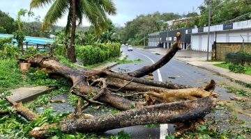 Gambar serahan Jean-Baptiste Jeangène Vilmer, Duta Perancis ke Vanuatu dan Pulau Solomon pada Rabu menunjukkan pokok-pokok yang tumbang di jalan raya selepas Taufan Judy membadai Port Vila di Vanuatu. — Gambar AFP