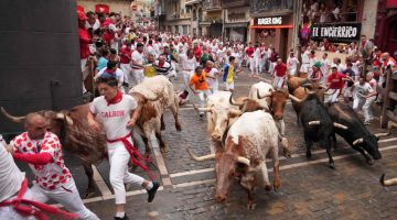 CEMAS: Peserta berlari bersama sekumpulan lembu jantan semasa festival larian lembu jantan San Fermin di Pamplona kelmarin. — Gambar AFP