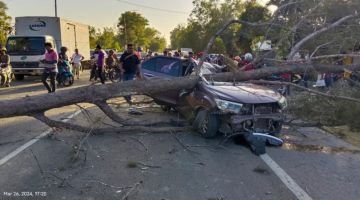 HEMPAP: Keadaan kenderaan mangsa selepas dihempap pokok berhampiran Legasi Laya-Laya, di sini.