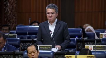 Liew maya sesi tanya saut nyerumba baum Dewan Rakyat di Bangunan Parlimen.