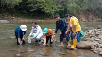 RASMI: Ana Maria menyempurnakan Upacara perasmian melepaskan anak anak ikan ke sungai Kg Kundasang sempena upacara buka tagal baru-baru ini.