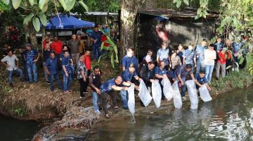 Sagah (tiga kiri) melepaskan anak ikan ke dalam sistem tagang sungai di Kampung Pesang, Sabtu lalu.