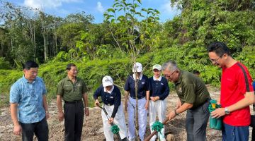 Ting (dua kanan) melakukan simbolik penanaman pokok sempena Hari Bumi Sedunia di Taman Tasik Permai, Sibu hari ini sambil diperhatikan Toh (kanan) serta yang lain.