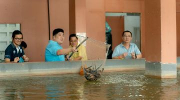 Lau (dua kanan) dibantu Willie ketika melakukan simbolik perasmian pertandingan memancing udang Pemuda PDP Bahagian Wilayah Tengah di Sibu, hari ini.