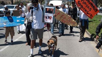 Anggota komuniti peluncur ombak memprotes keadaan tidak selamat selepas tiga mayat pelancong terbabit dikenal pasti di Ensenada, Baja California kelmarin. - Gambar AFP