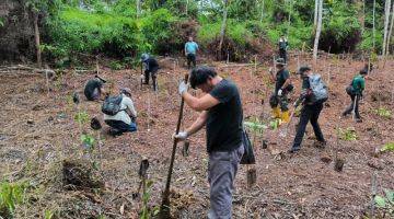 Sebahagian daripada para peserta yang menanam pokok di plot yang telah ditetapkan di Hutan Simpan Sabal.