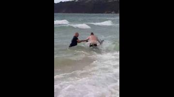 HAMPIR LEMAS: Gambar yang dirakam daripada video media sosial ini menunjukkan dua anggota polis cuba menyelamatkan kanggaru terbabit yang bergelut di dalam air di Safety Beach, Victoria kelmarin. — Gambar Reuters